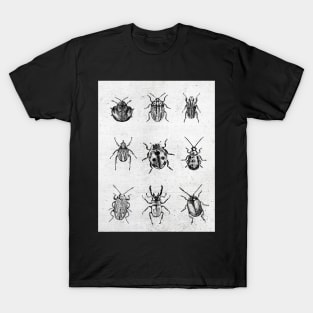 Beetle Collage T-Shirt